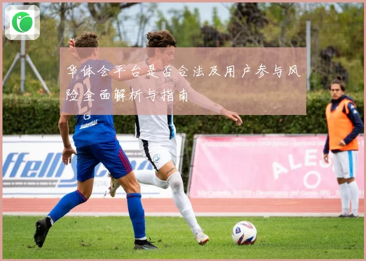 华体会平台是否合法及用户参与风险全面解析与指南