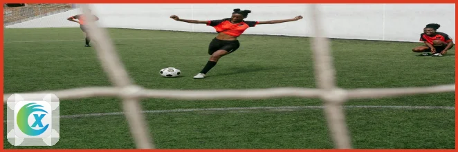 华体会APP下载安装详细教程与常见问题解答助你轻松上手