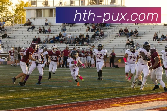 华体会平台展示图