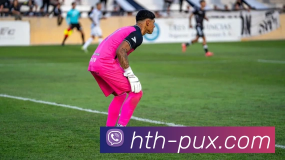 华体会平台是否合法及用户参与风险全面解析与指南